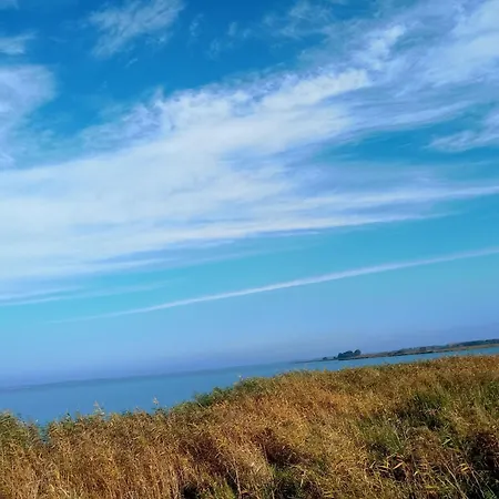 Fischstuebchen Neeberg 5 - Bootshaus *