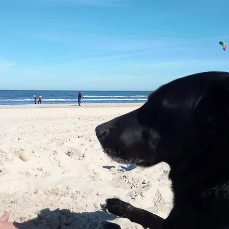 Fischstuebchen Neeberg 5 - Bootshaus Nyaraló *