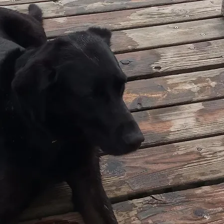 Fischstuebchen Neeberg 5 - Bootshaus *