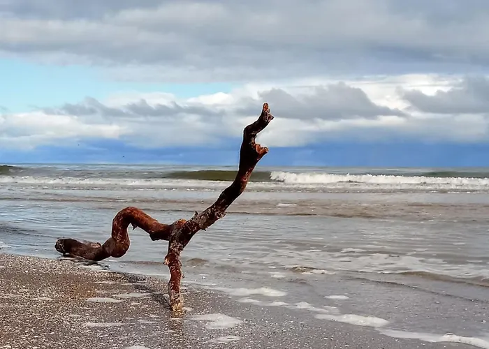 Dom wakacyjny Fischstuebchen Neeberg 5 - Bootshaus