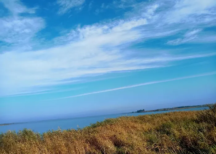 Fischstuebchen Neeberg 5 - Bootshaus *