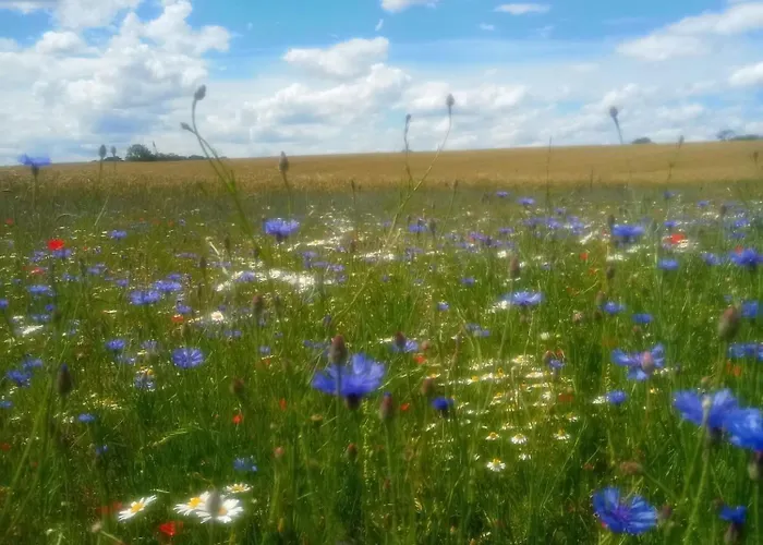 Fischstuebchen Neeberg 5 - Bootshaus Dom wakacyjny