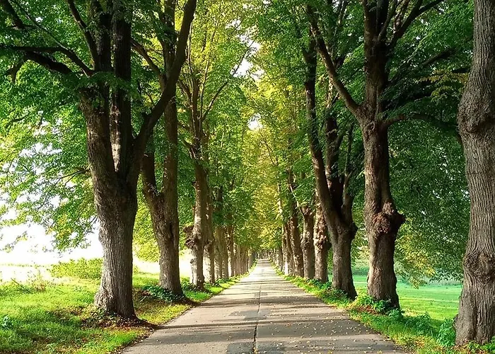 Dom wakacyjny Fischstuebchen Neeberg 5 - Bootshaus Krummin