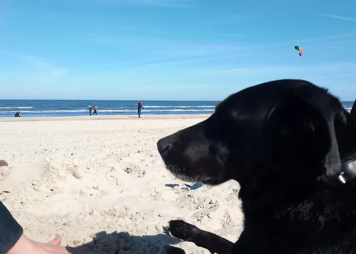 Fischstuebchen Neeberg 5 - Bootshaus Dom wakacyjny *