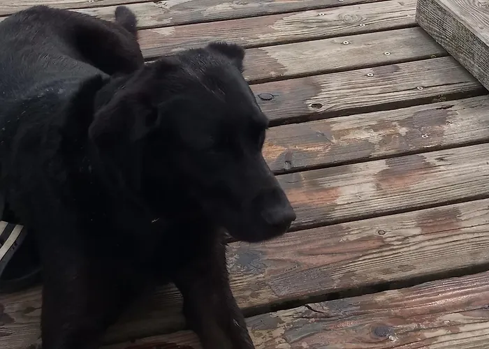 Fischstuebchen Neeberg 5 - Bootshaus *